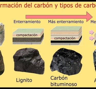 Formación del carbón y tipos de carbón