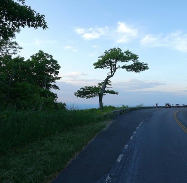 Shenandoah National Park near Waynesboro Virginia