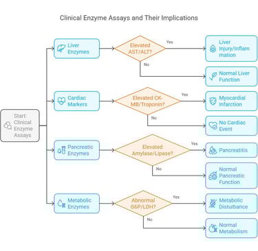 clinical enzyme assays & implication