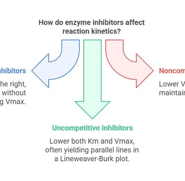 types of inhibitions