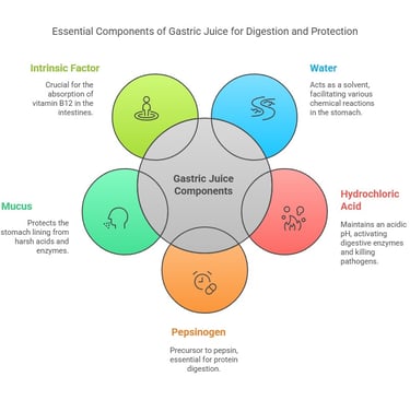 Gastric juice components