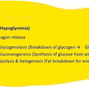 Fasting or Starvation (Hypoglycemia)