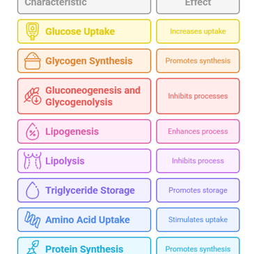 Insulin metabolic effect