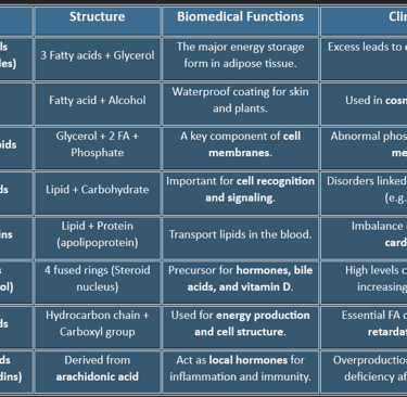 lipid classification