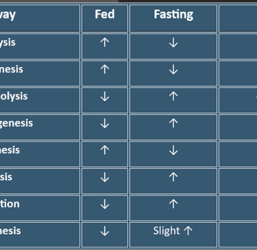 Metabolic_pathways_blood_glucose_homeostasis