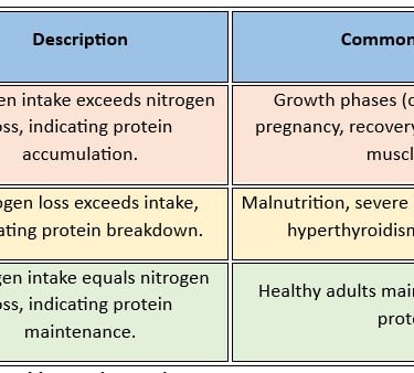 nitrogen balance explained!