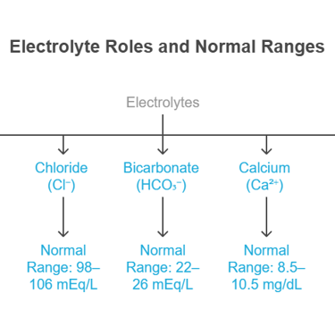 Electrolytes, role & range