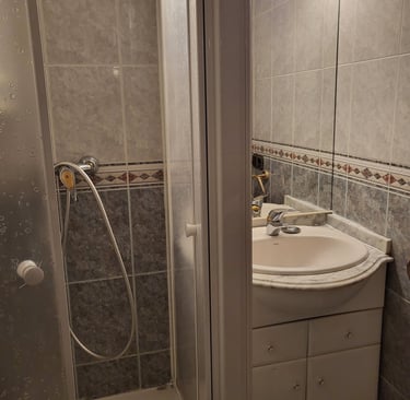 Baño de la habitación equipado con ducha