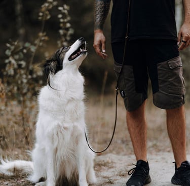 Basti Matern beim Einzeltraining mit Hund