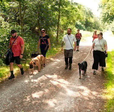Hunde lernen beim Social Walk in Merseburg, gelassen neben Artgenossen zu laufen.