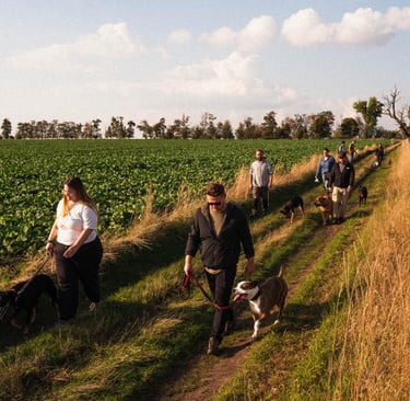 Gruppenspaziergang – Social Walk in Merseburg mit Hundetrainer Basti Ma