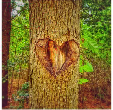 Love Poem Tree with Heart