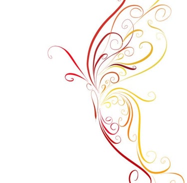 Illustration of butterfly by Olivia Haughton