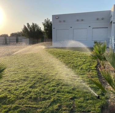 زراعة الثيل الطبيعي مع تركيب شبكات ري أتوماتيكية في حديقة منزلية بالكويت