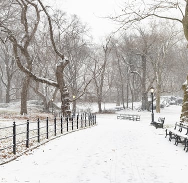 A quiet snow-covered path with benches, inviting rest and stillness.