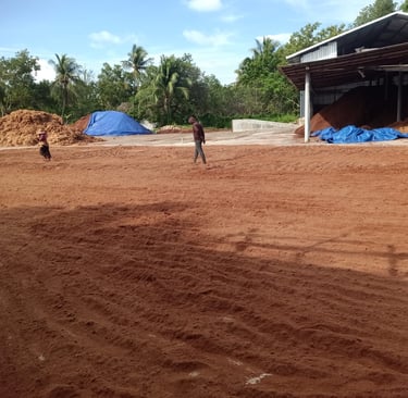 dried process of cocopeat - adely eco nusantara