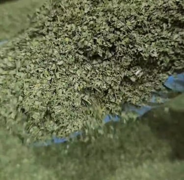 Moringa dried tea cut - adely eco nusantara