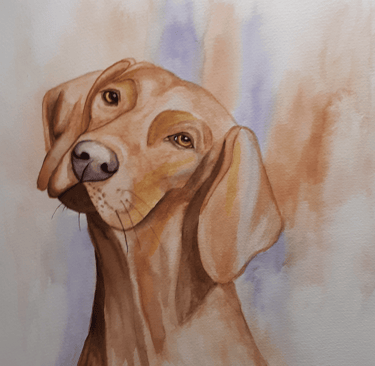 wawtercolor painting of a Vizla dog