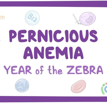 Pernicious Anemia - Year of the Zebra text surrounded by various drawn icons representing bloodwork