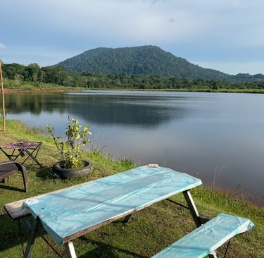 Bintan Enau