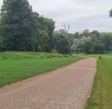 showing path surrounded by grass leading down a hill to a woodland area