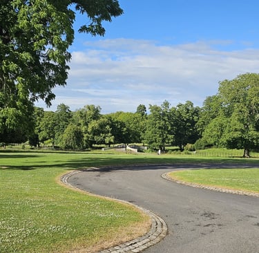 showing an open green space with maturre trees and a roadway