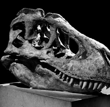 crane de tarbosaurus