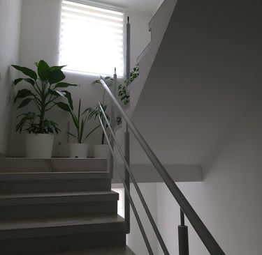 a staircase with a plant in the middle of it