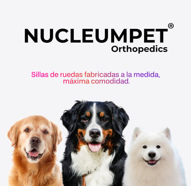Silla de ruedas para perros fabricada por Nucleumpet en Colombia