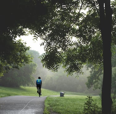 A cyclist riding a bike on a paved park trail surrounded by lush green trees and morning mist.