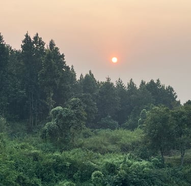 Purulia