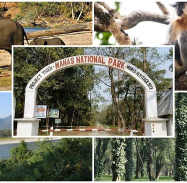 Manas National Park