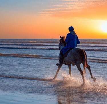 balade à cheval à agadir