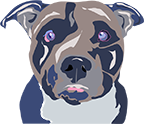 abstract design of a dog using Illustrator