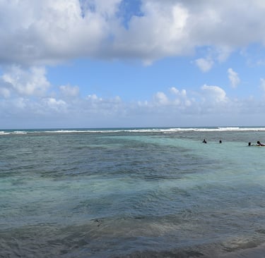bois jolan voyage france guadeloupe