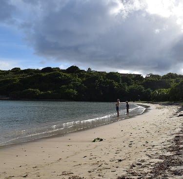 Voyage france guadeloupe