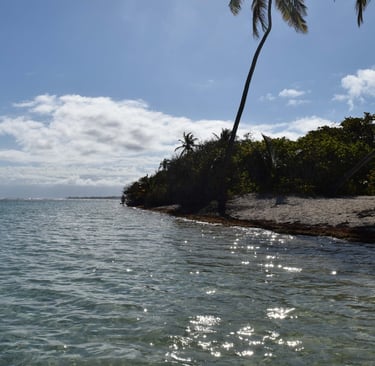 Bois Jolan Voyage France guadeloupe