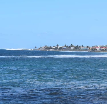 le moule voyage france guadeloupe