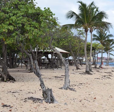 le moule voyage france guadeloupe