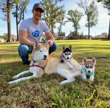 Dr. Meyers siberian huskies