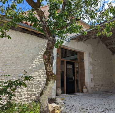 a tree in a courtyard with a tree in the background