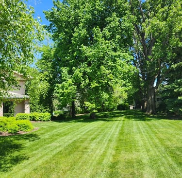 lawn care in steinbach