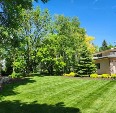 hamm lawn care 3