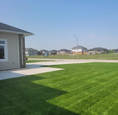 hamm lawn care 1