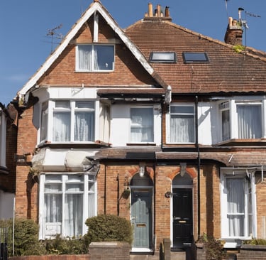 black elephant walking on brown sand
