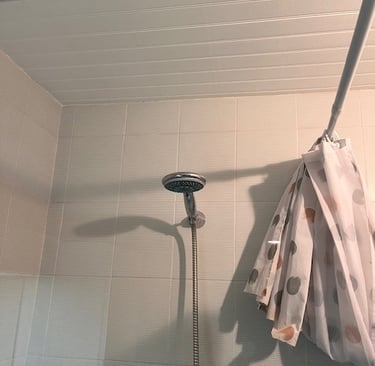 Fixation d'une pomme de douche