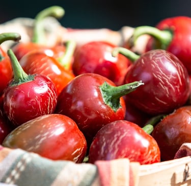Cherry Pepper