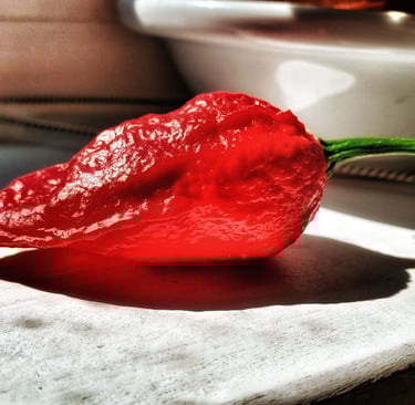 Ghost Pepper