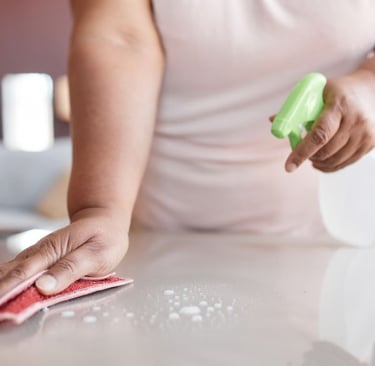 a woman cleaning a counter top with a sponge pad