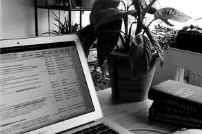 Office of Omnia Writing Services